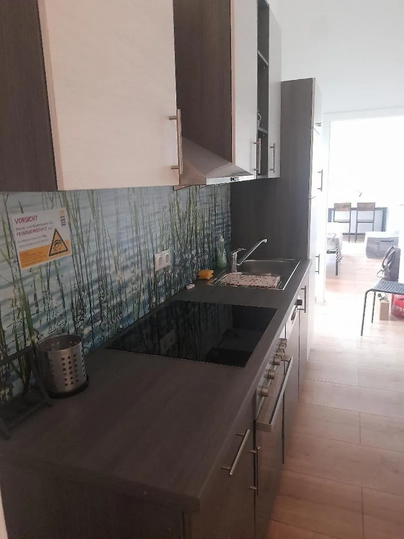 Апартаменты Wohnung Salzach Зальцбург